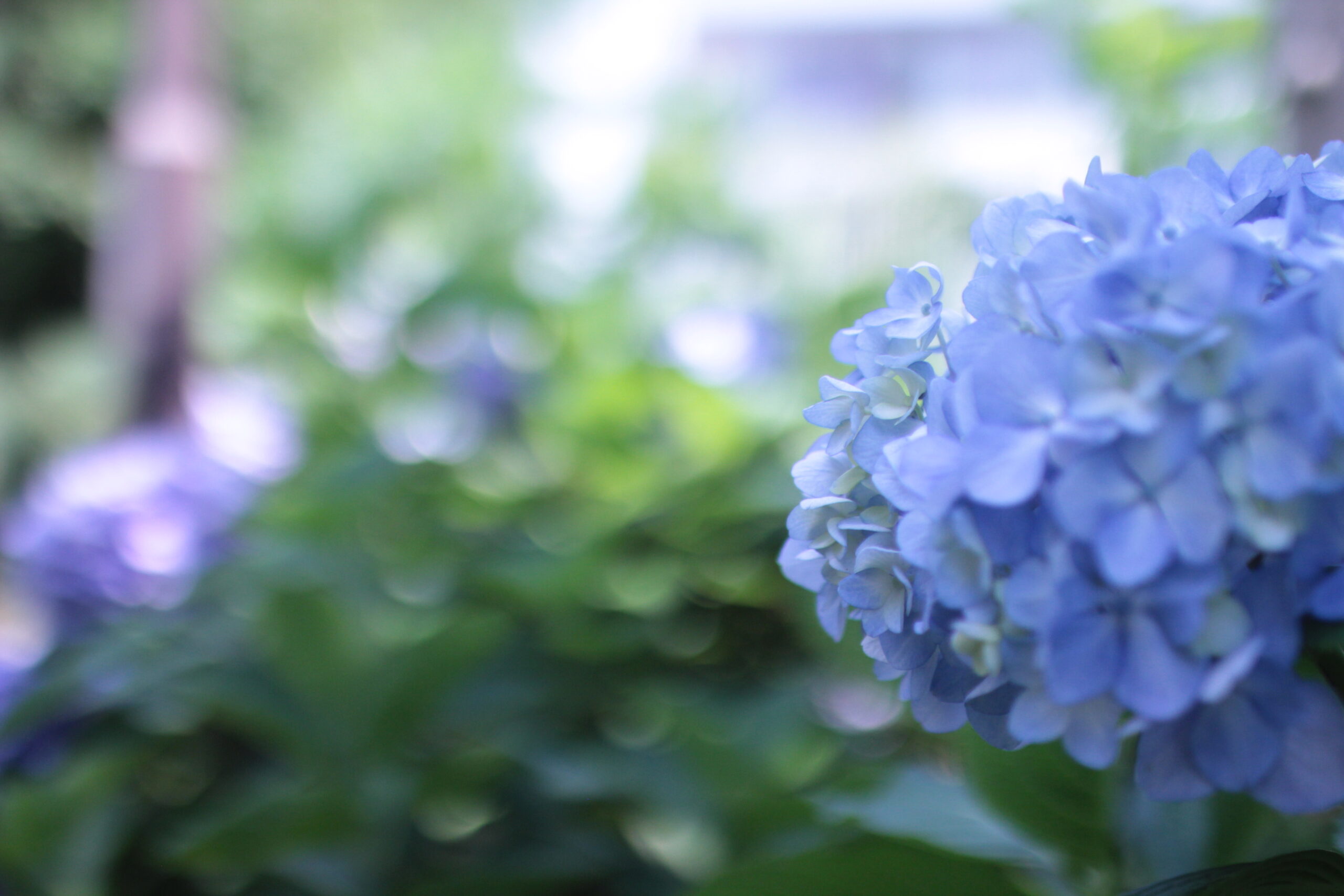cream soda and railway -retro Tokyo side-trip-